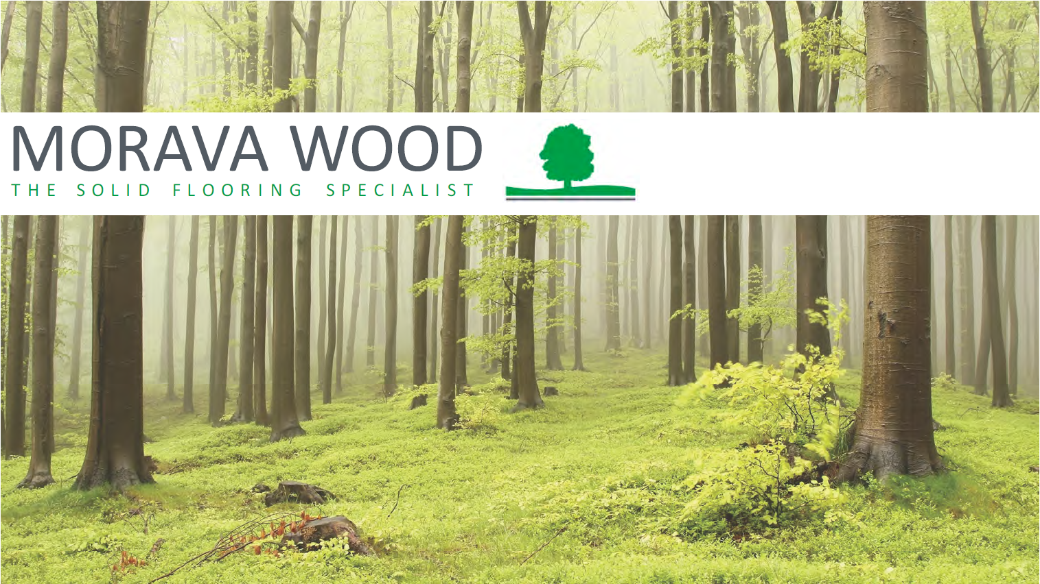 MORAVA WOOD ——the solid flooring specialist